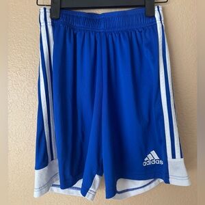 Adidas Men's shorts bundle Royal Blue/White, Gray/White Athletic Shorts
